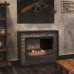 Биокамин Firelight BFP/P-2520 от производителя Firelight