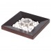 Биокамин Firelight BFP/T-2525 Cup от производителя Firelight